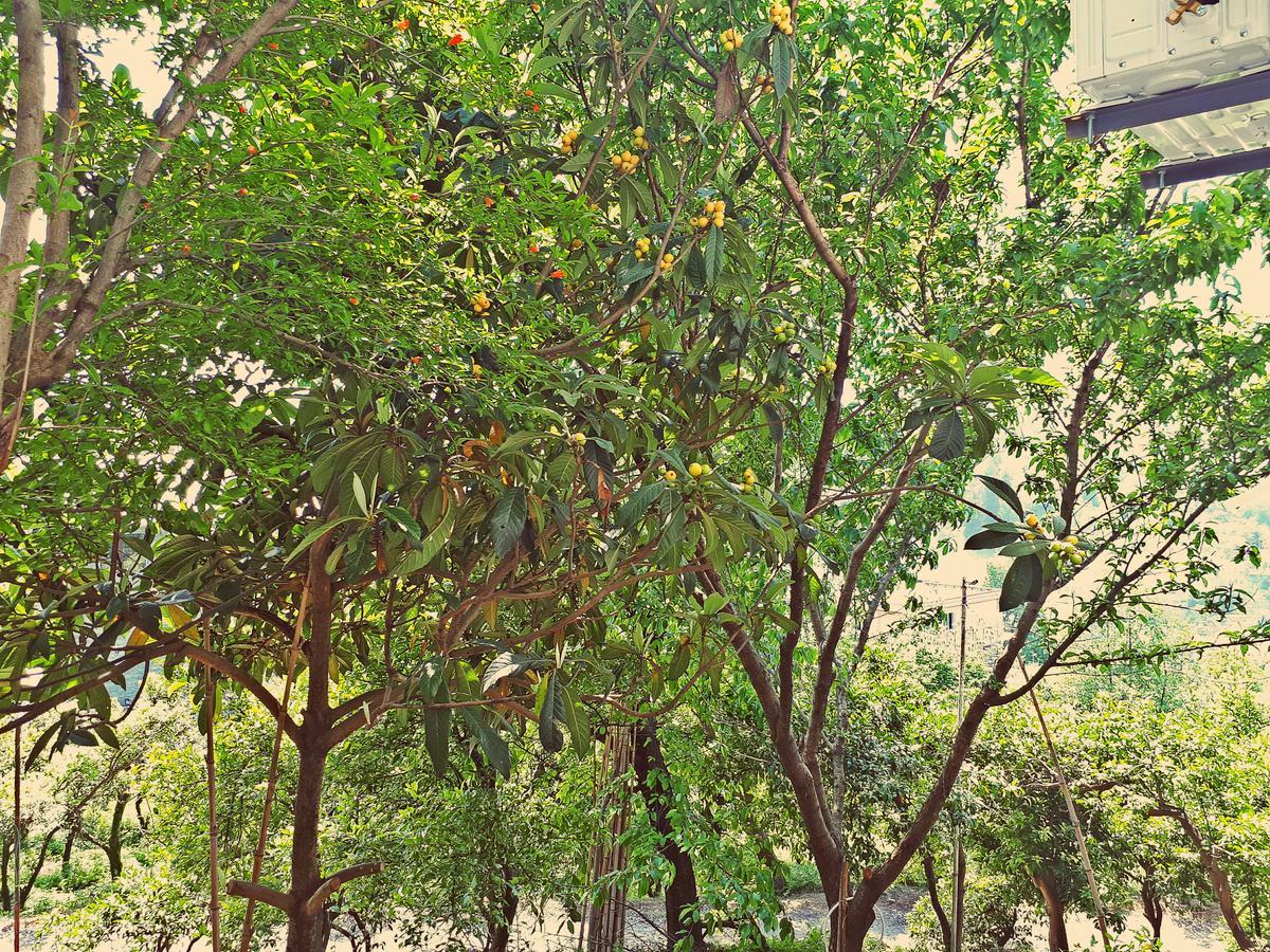 Apartments Sunset Paradise Makhinjauri Exterior photo